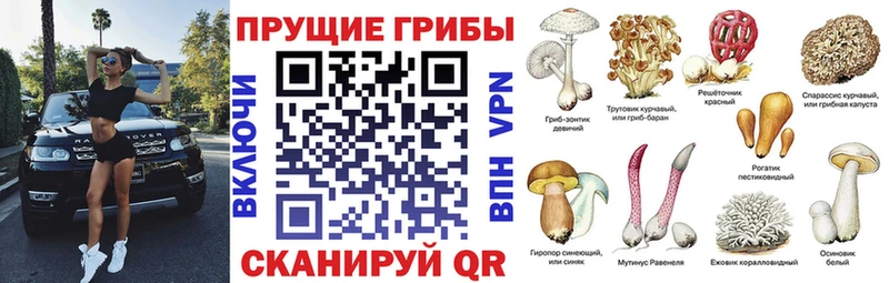 Псилоцибиновые грибы ЛСД купить наркотики цена Тырныауз