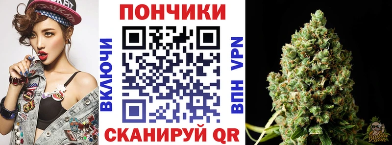 darknet какой сайт  Тырныауз  Бошки Шишки сатива 